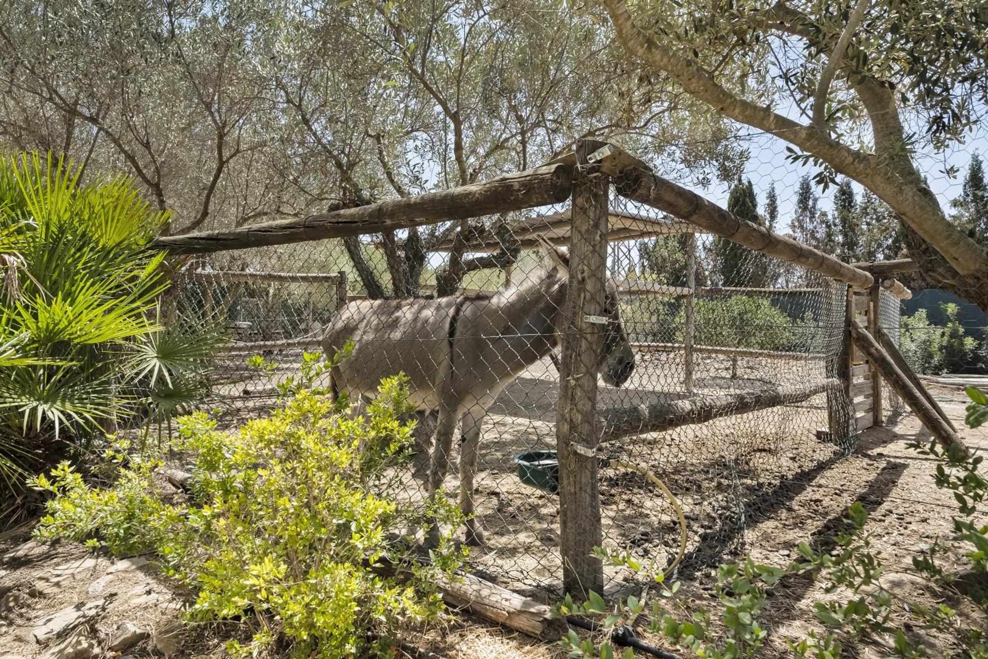 Cambiardeaires Rural Piedra Villa Pilar de la Horadada Buitenkant foto